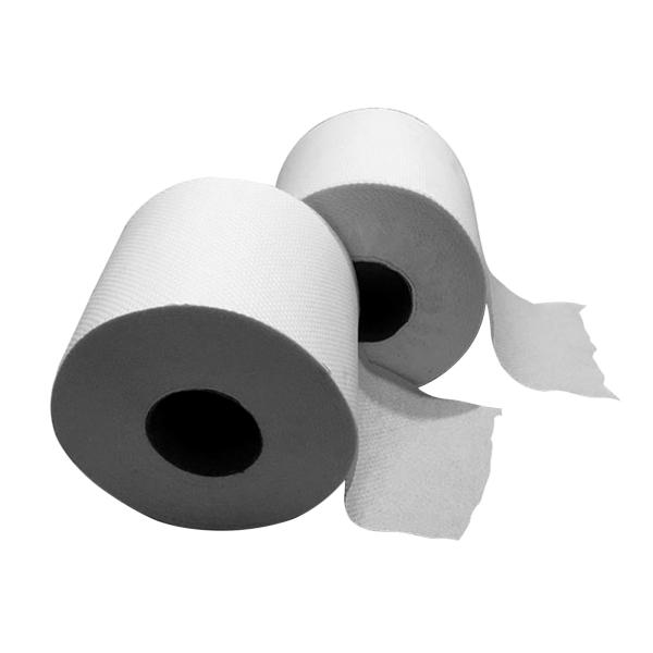 Papel Higiénico en Rollo x 80M