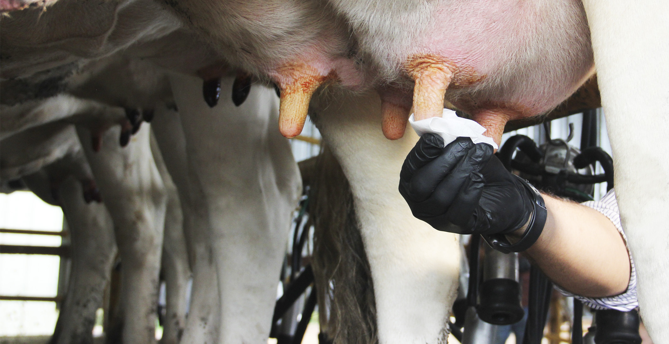 Bobina Center Pull Spack Tambo - Imagen 2